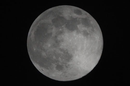 ファイル 1454-1.jpg