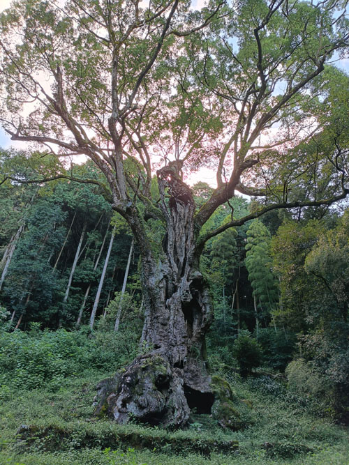 ファイル 1476-4.jpg