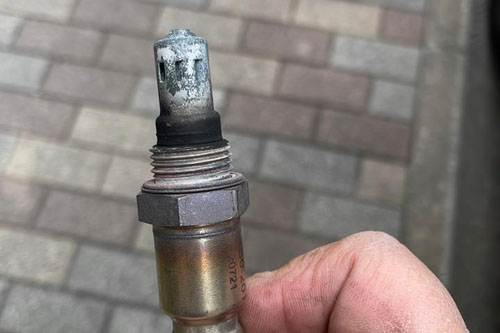 ファイル 1496-2.jpg